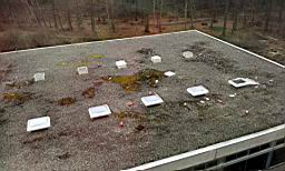 2012-02-24 14.47.37.jpg